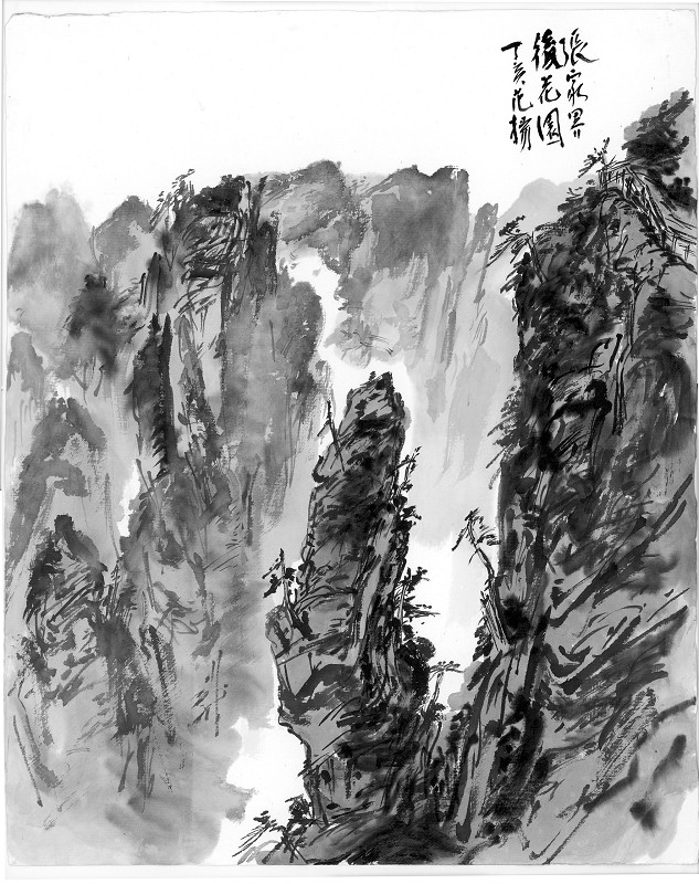 2007年4月8日至4月21日，我带队国家画院范扬工作室学员及随行记者等共37人赴湘西、黔东南作山水写生。